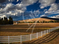 MONTANA Missoula